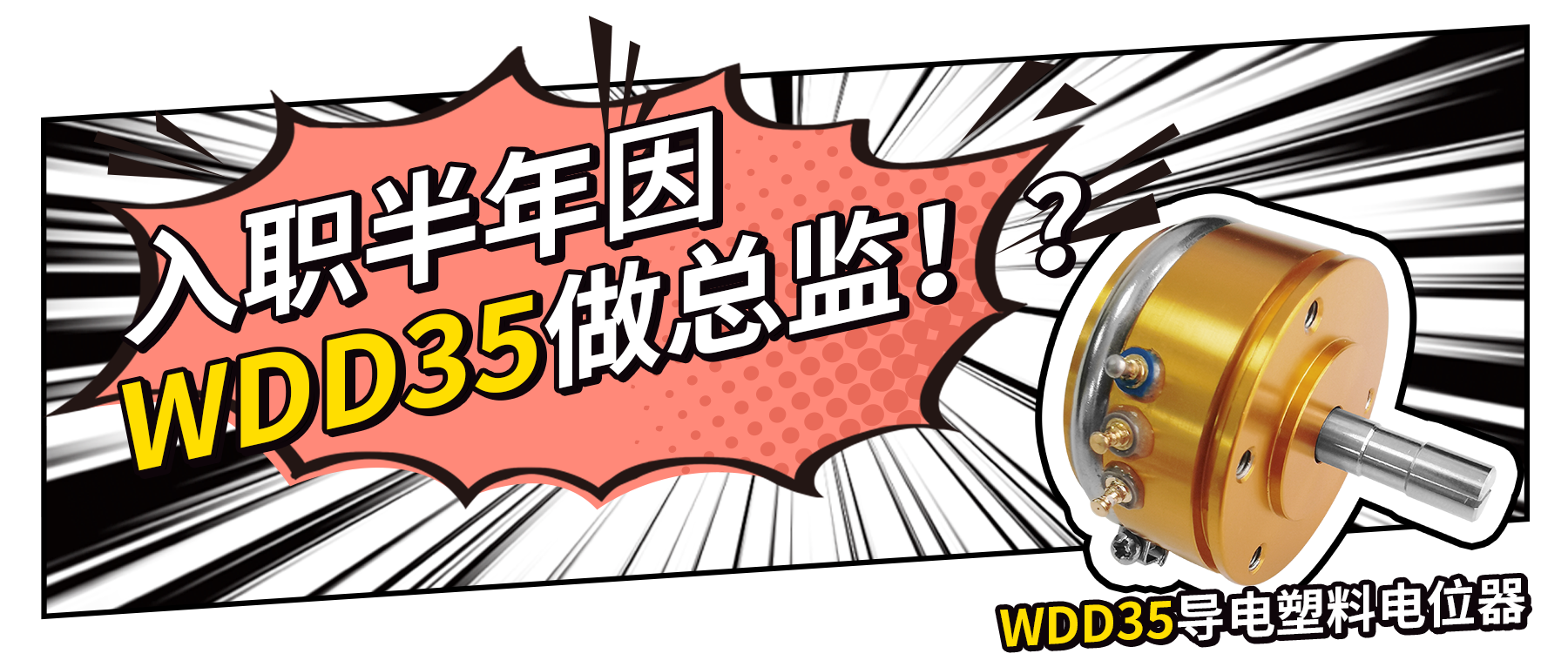 入職半年因WDD35做總監(jiān)？！